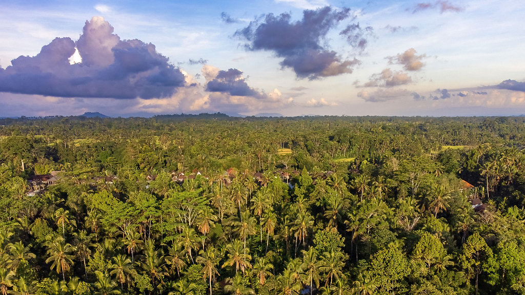 20220509-171951-DJI-0004-HDR.jpg