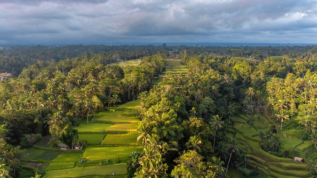 20220509-172017-DJI-0010-HDR.jpg