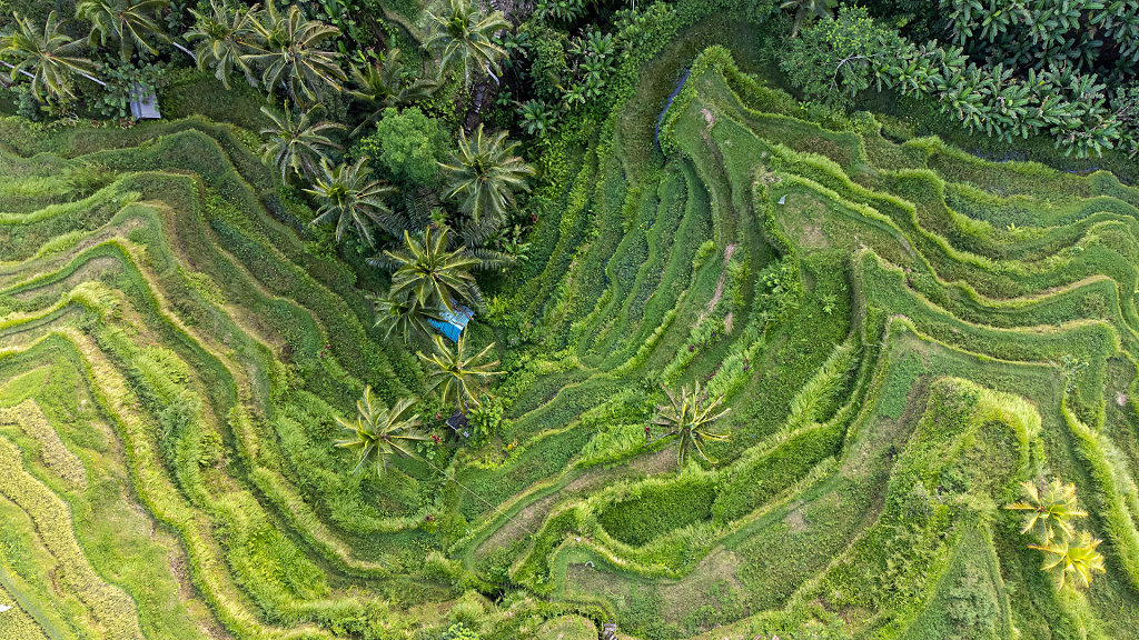 20220509-172105-DJI-0019-HDR.jpg
