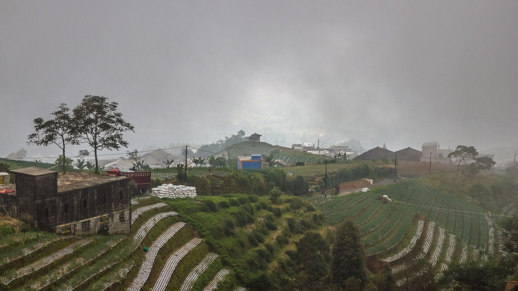 20220518-101825-IND-1854.jpg