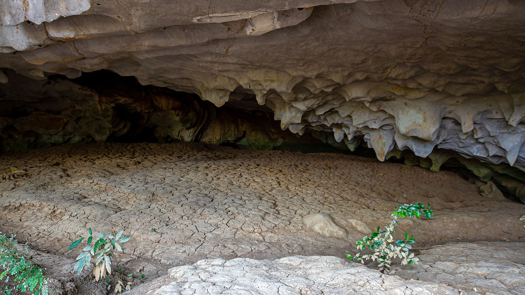 Turtle Cave // ถ้ำเต่า