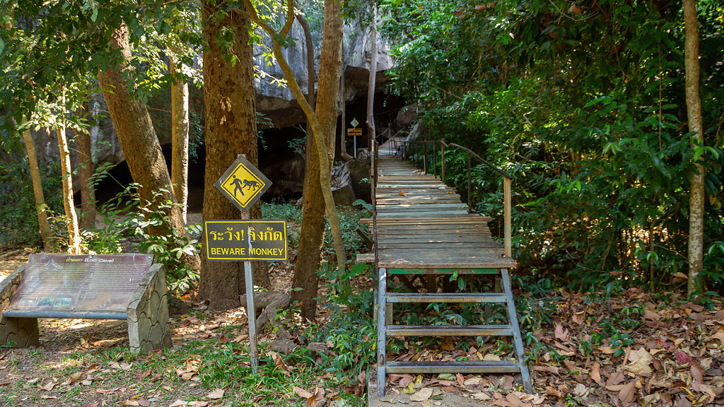 Turtle Cave // ถ้ำเต่า