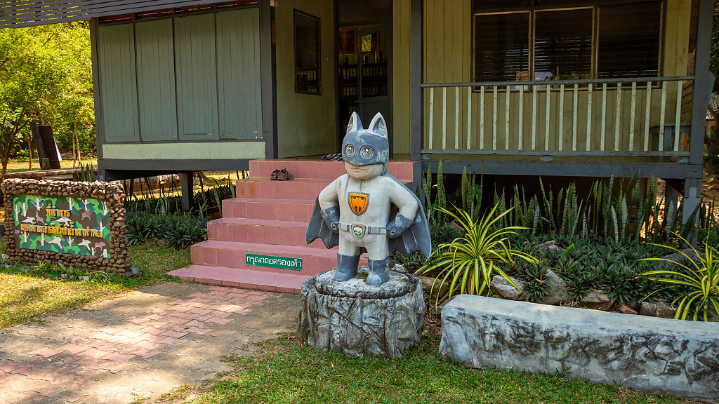 20230301-112558-THAI3543.jpg