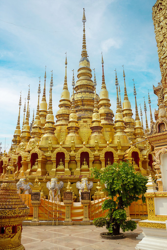 20230304-142100-THAI4068.jpg