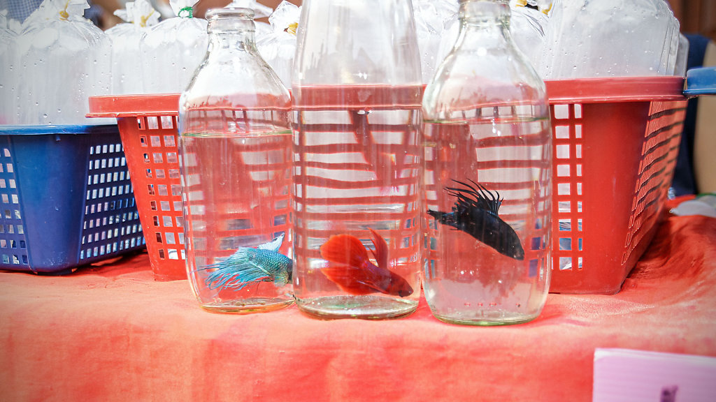 Kad Kong Ta Street Market