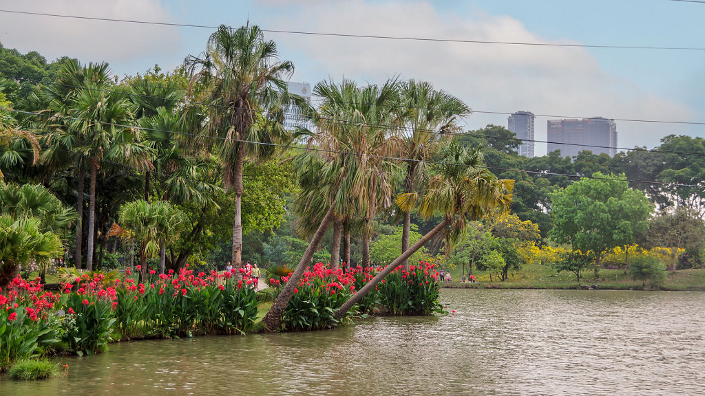20230312-083719-THAI4580-HDR.jpg