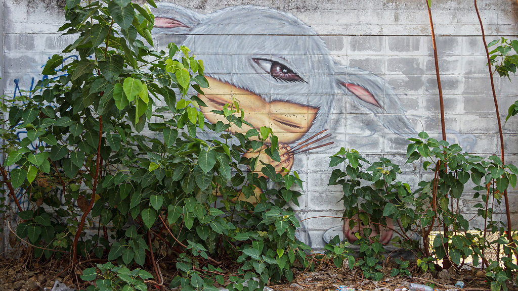 Graffiti Abandoned Factory // โกดังบ่อฝ้าย
