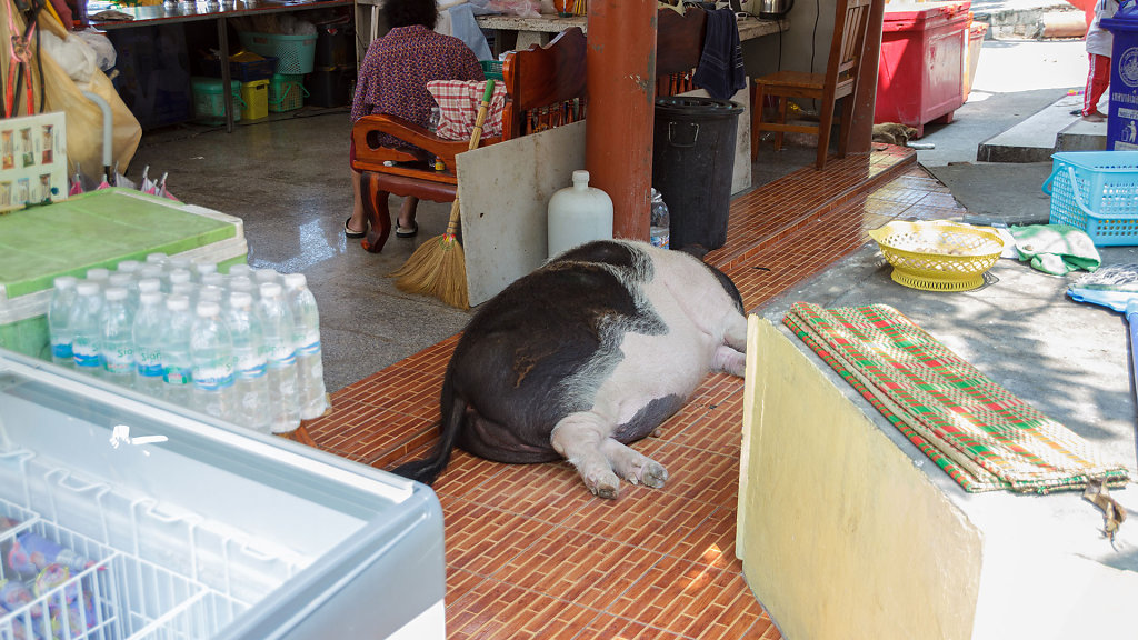 Wat Khao Takiap // วัดเขาตะเกียบ