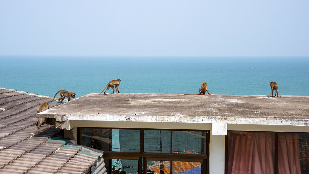 Wat Khao Takiap // วัดเขาตะเกียบ
