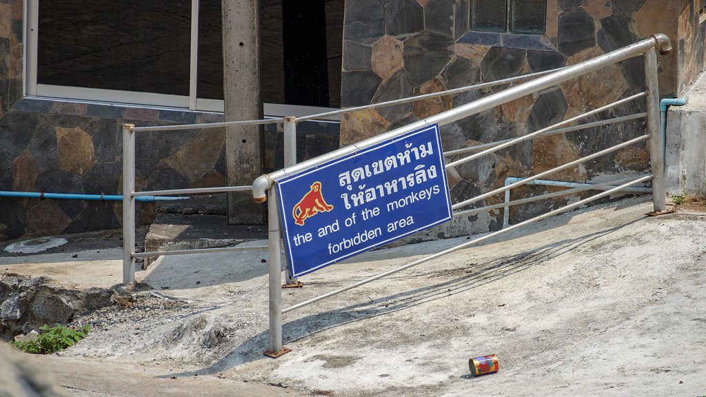 20230315-134944-THAI4986.jpg