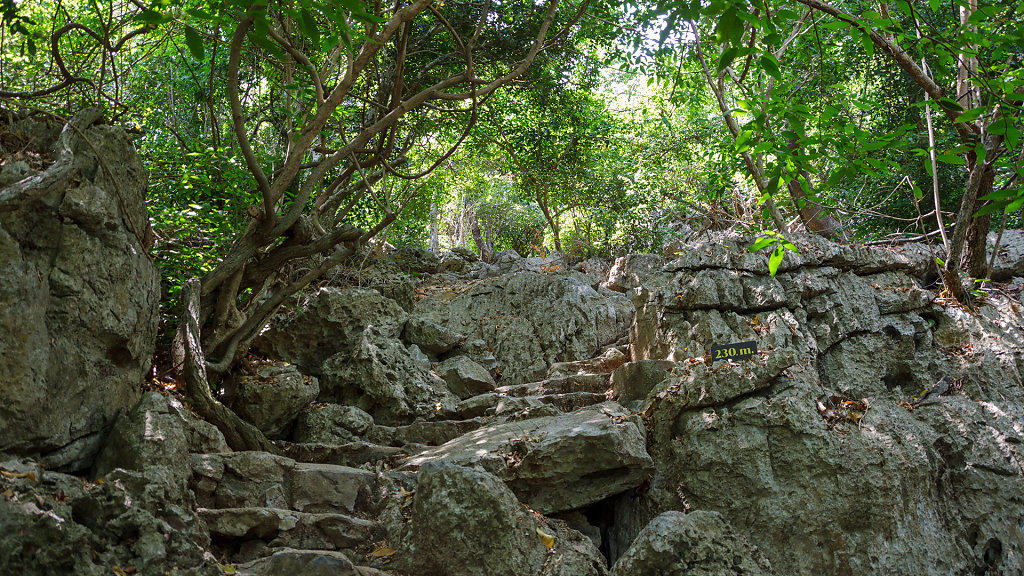 Phraya-Nakhon-Cave // ถ้ำพระยานคร