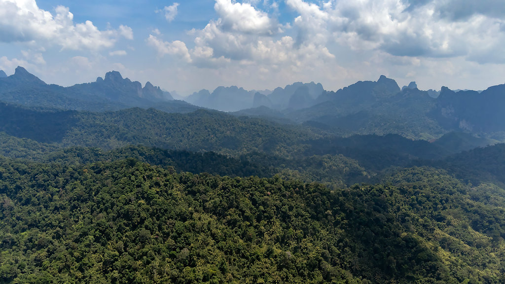 20230327-113311-DJI-0065-HDR.jpg