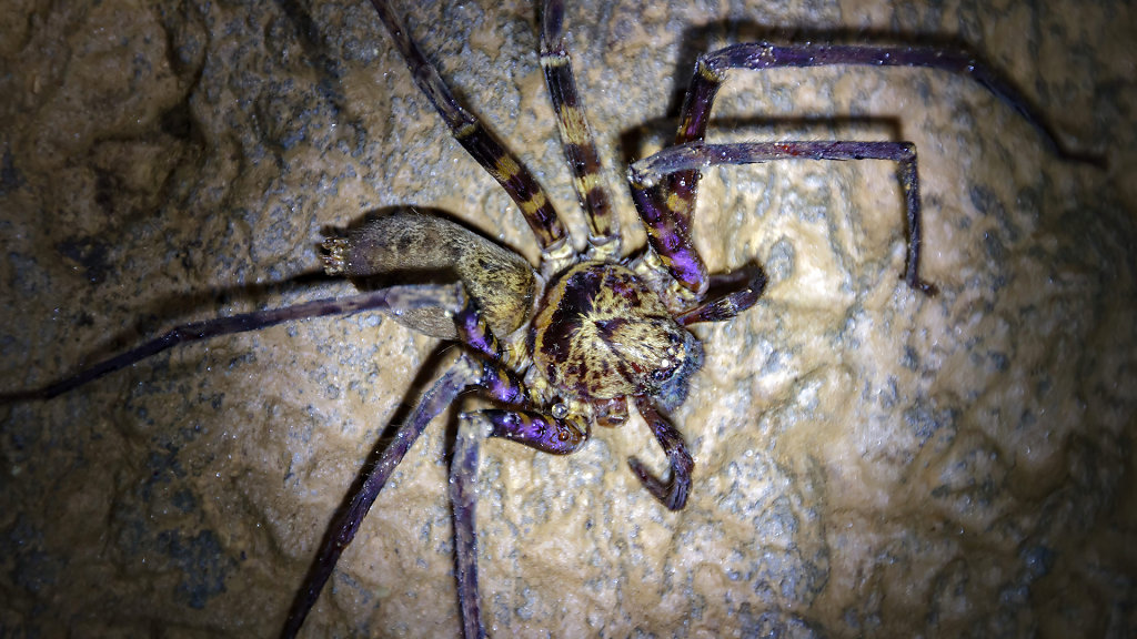 Tham Khao Mai Khew