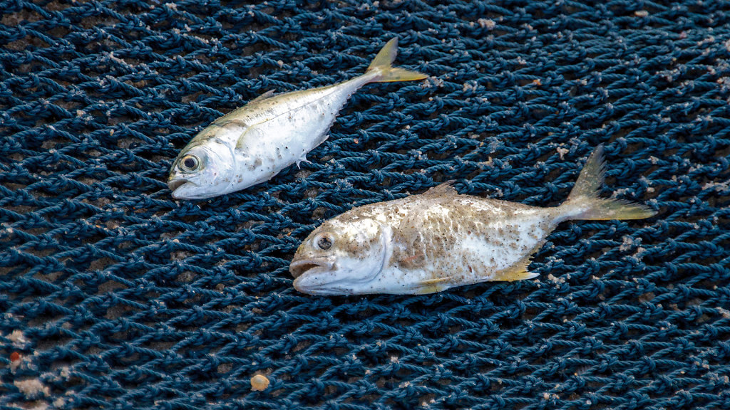 Samila Beach // หาดสมิหลา