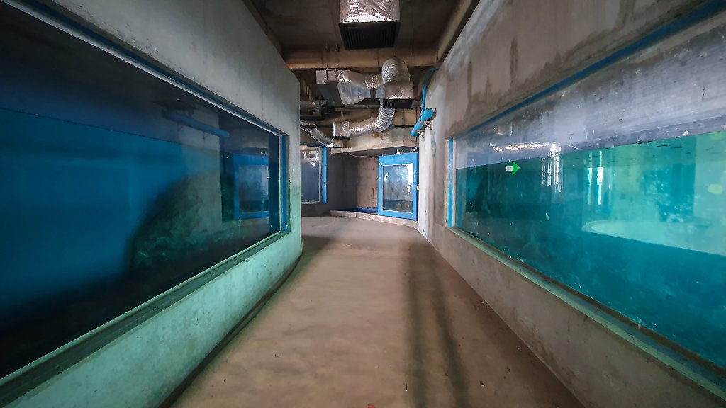 Tinsulanonda Fisheries College