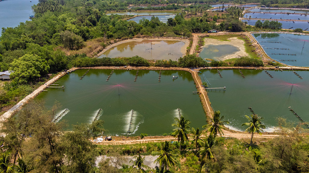 20230423-121826-DJI-0307-HDR.jpg