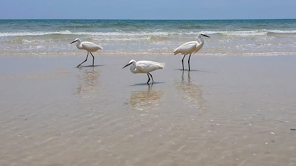 Hua Hin Beach // หาดหัวหิน 