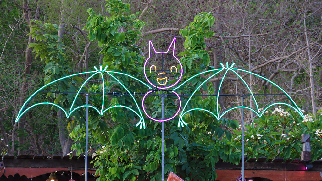 Wat Khao Chong Phran Bat Caves