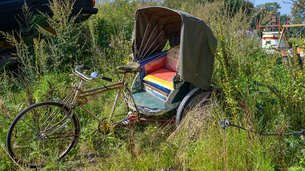 20230910-141356-DSC-5444.jpg