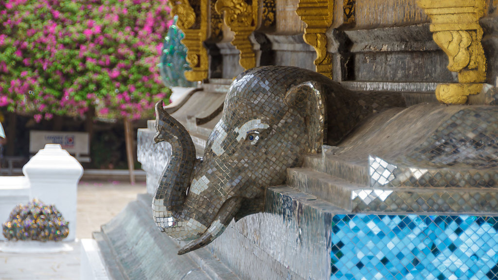 20230510-101423-THAI0338.jpg
