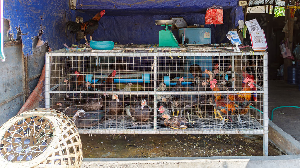 20230512-134610-THAI0739-HDR.jpg