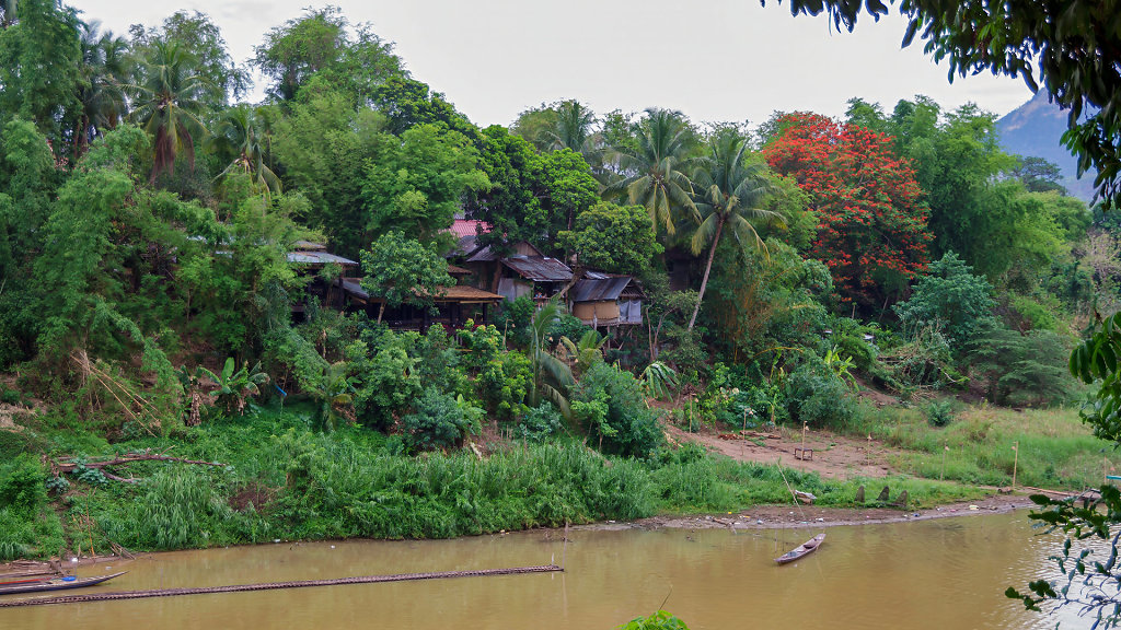 20230512-164658-THAI0796.jpg