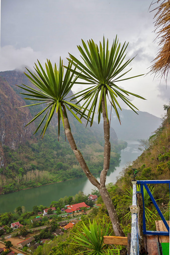 20230513-151435-THAI0855-HDR.jpg