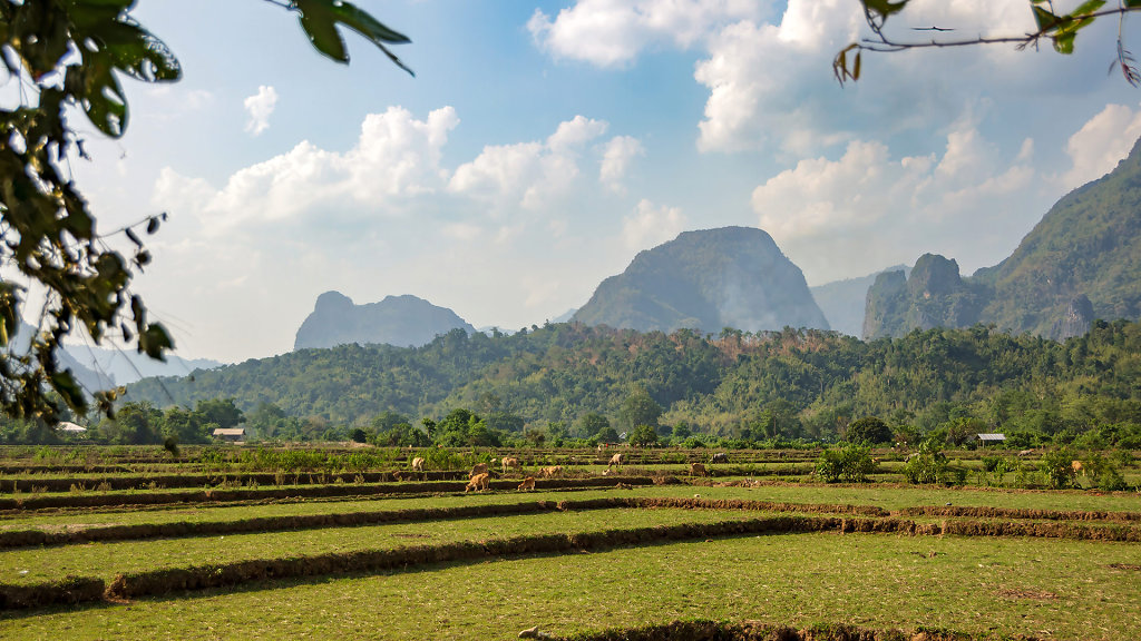 20230518-155752-THAI1237-HDR.jpg