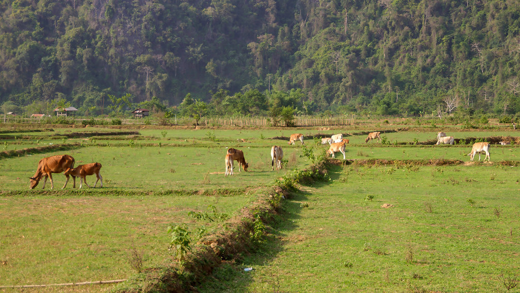 20230518-163112-THAI1241.jpg
