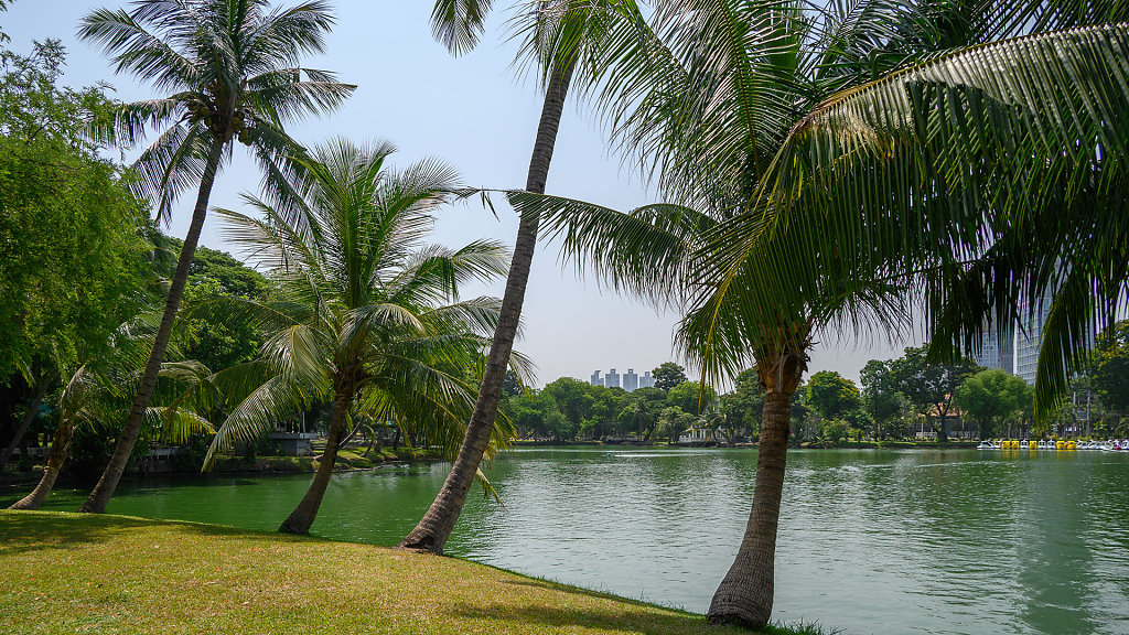 Lumphini Park // สวนลุมพินี