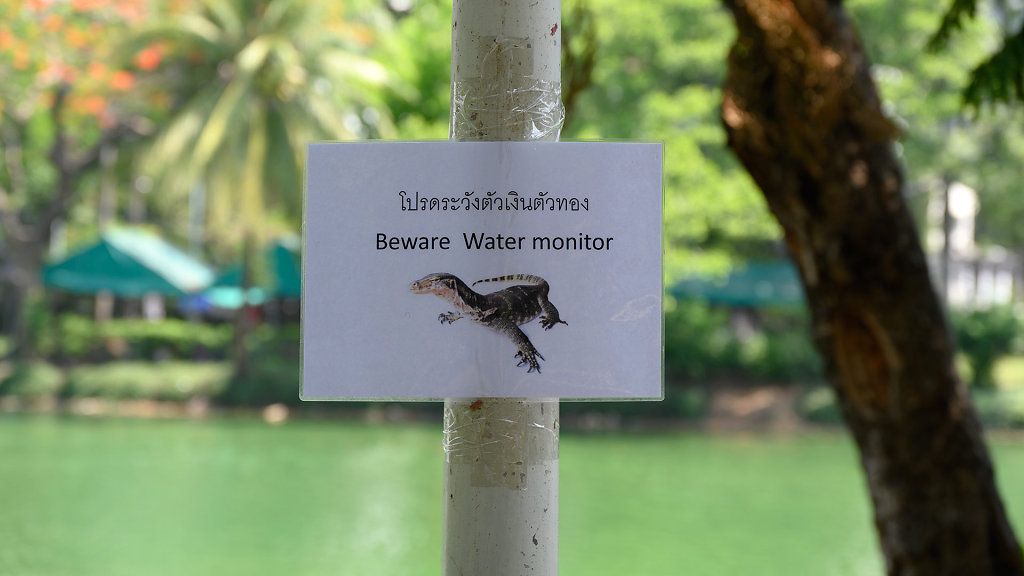 Lumphini Park // สวนลุมพินี