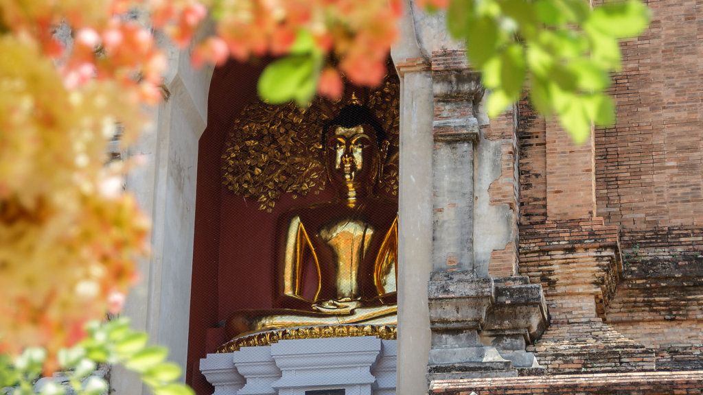 20230531-114656-THAI2295.jpg