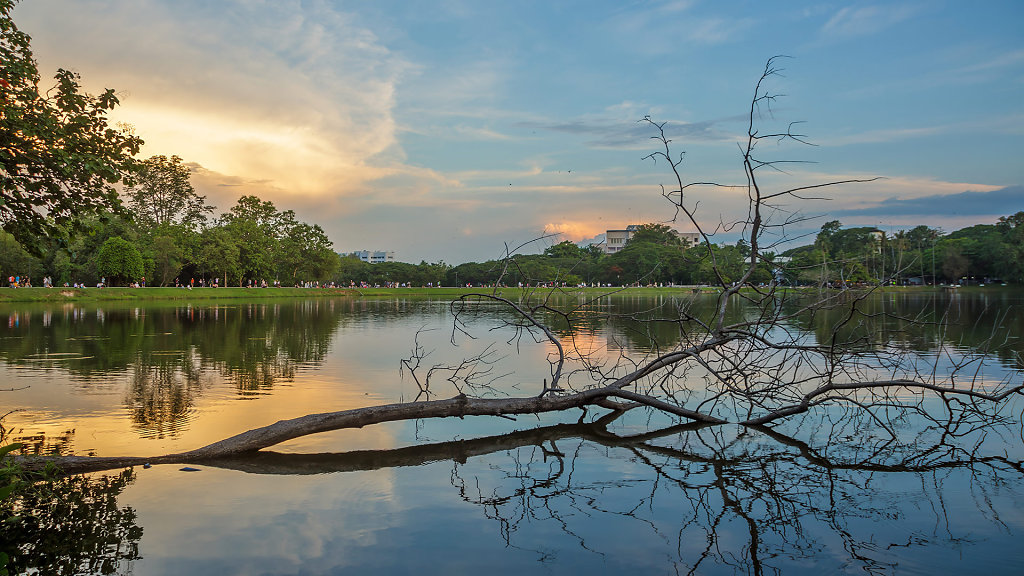 20230531-183853-THAI2328-HDR.jpg