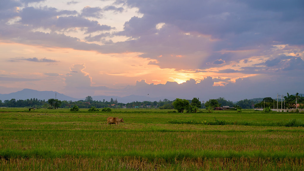 20230602-184535-DSC-2517.jpg