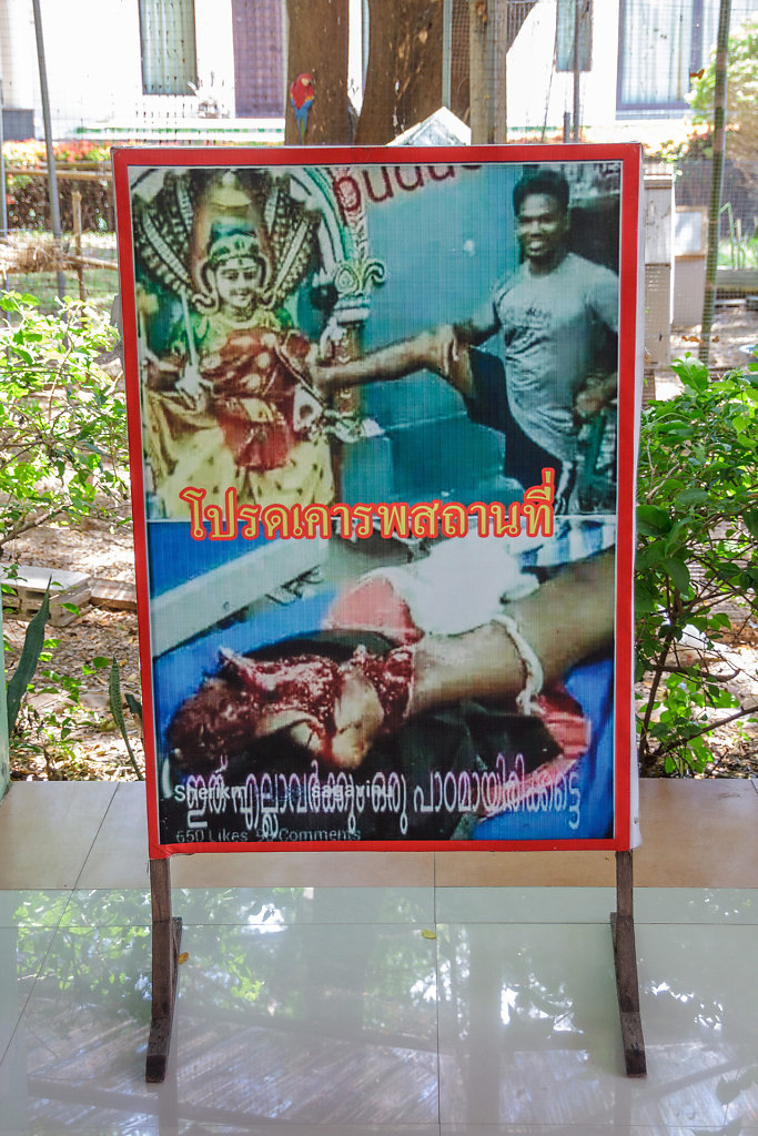 20230605-123850-THAI2778.jpg