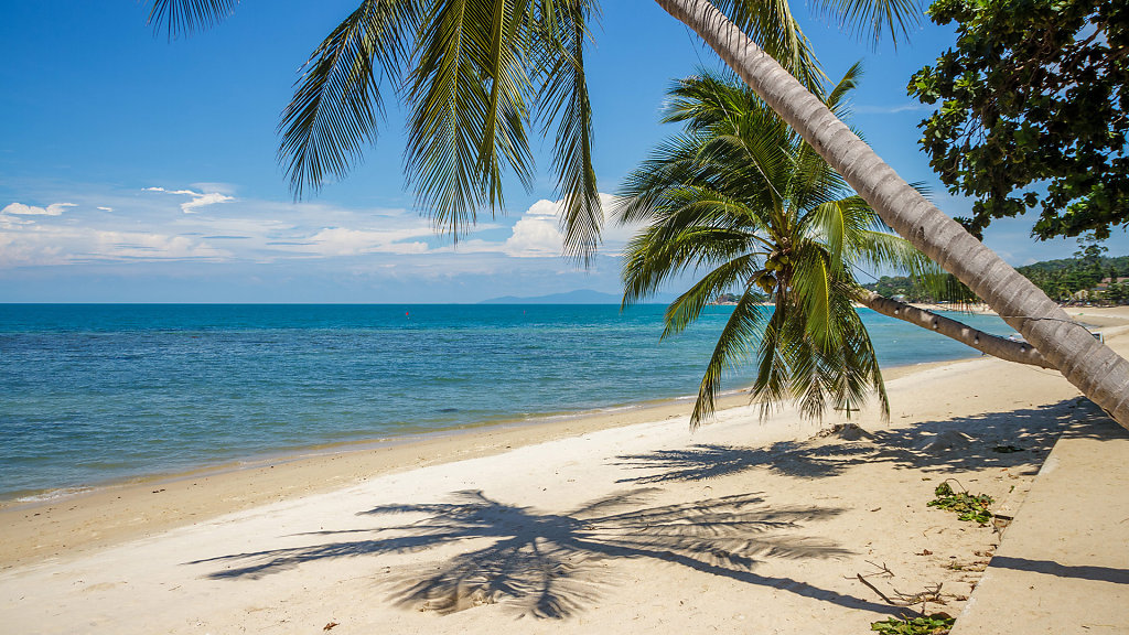Sand Sea //  โรงแรมแซนด์ ซี บีช รีสอร์ท