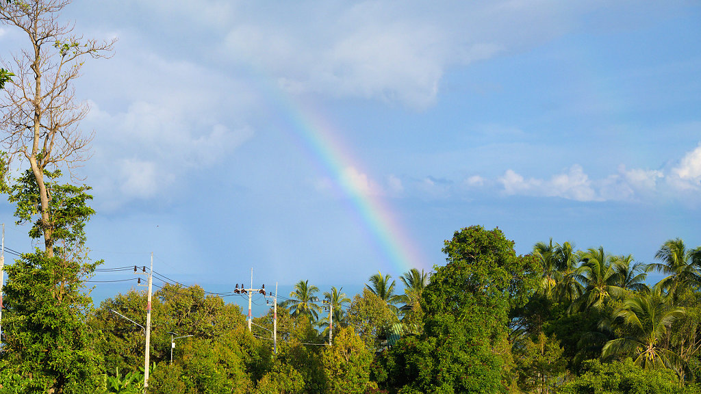 20230614-171451-DSC-4238.jpg