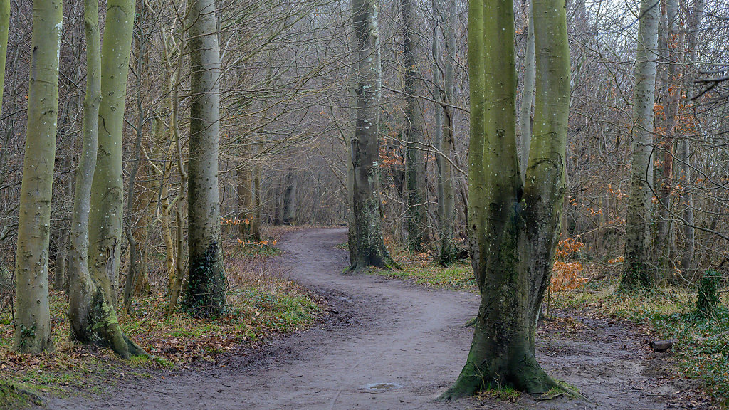 20240211-123520-DSC-8495.jpg