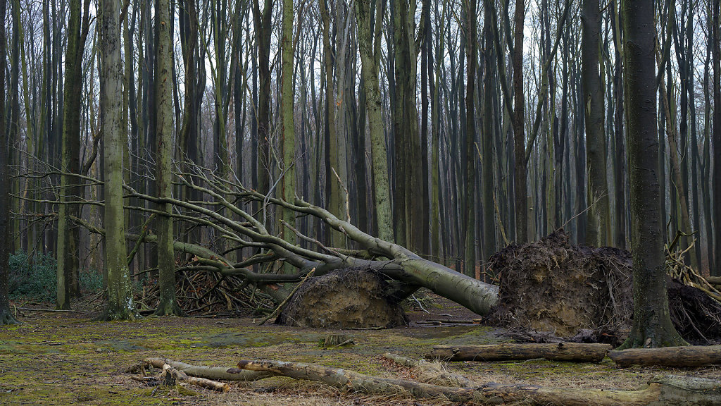 20240211-124233-DSC-8523.jpg