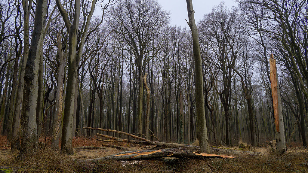 20240211-130329-DSC-8577.jpg