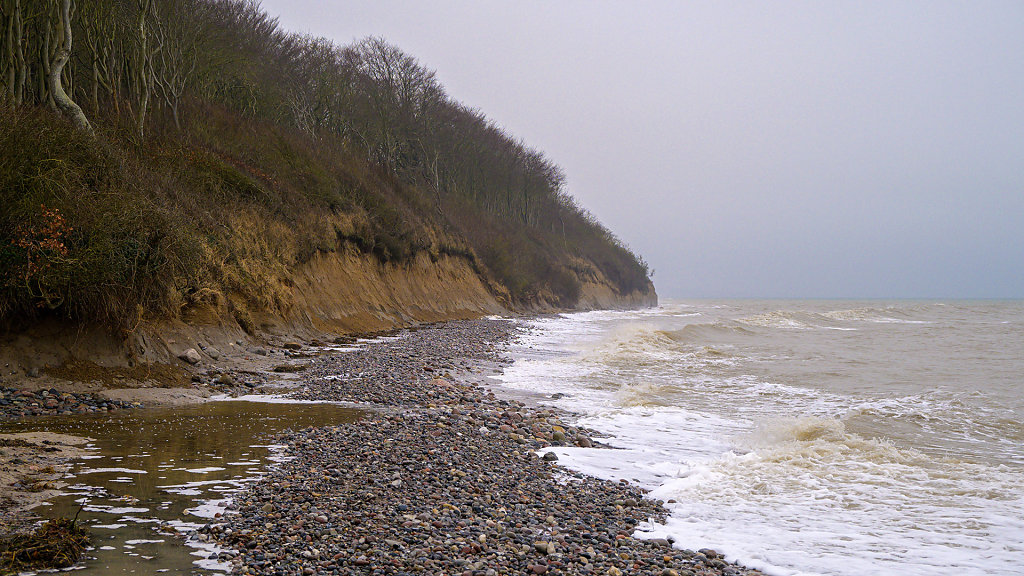 20240211-131549-DSC-8609.jpg
