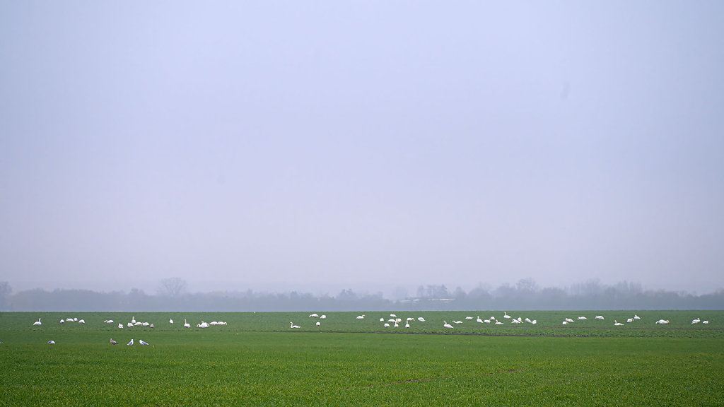 20240211-132403-DSC-8634.jpg