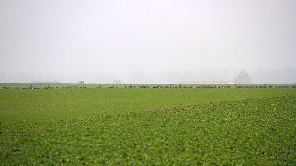 20240211-132744-IMG-0110.jpg