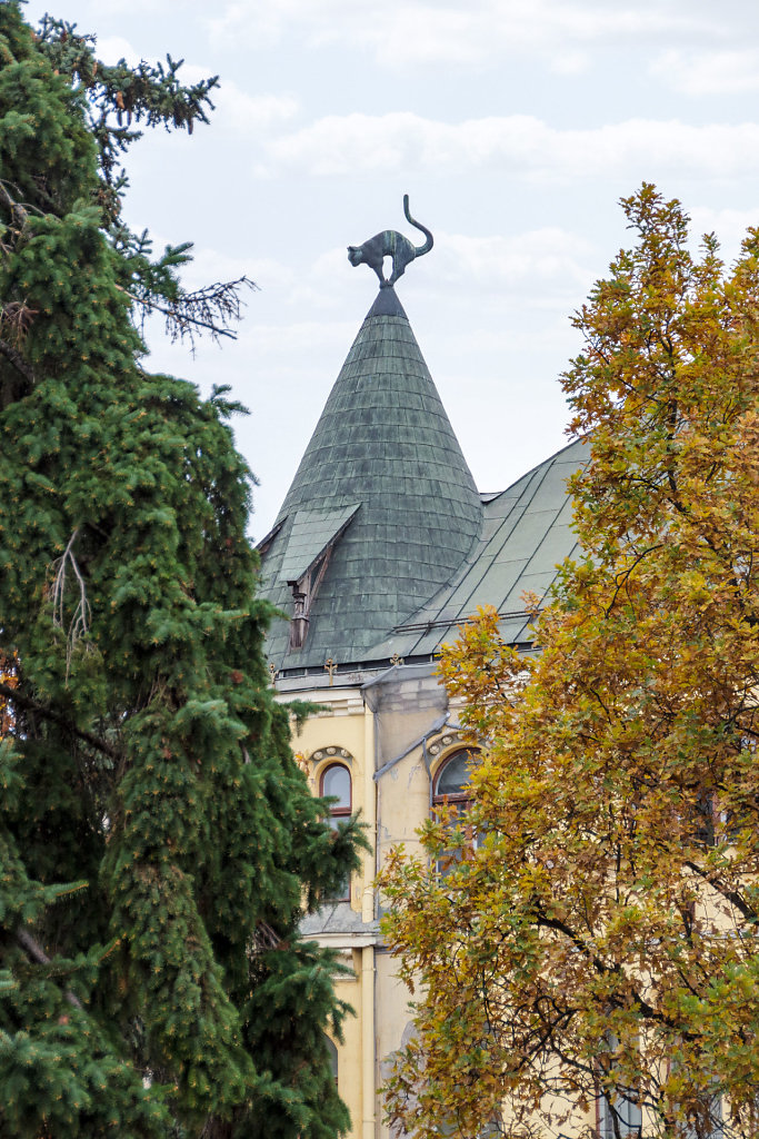 20241109-125408-RIX-0175-HDR.jpg