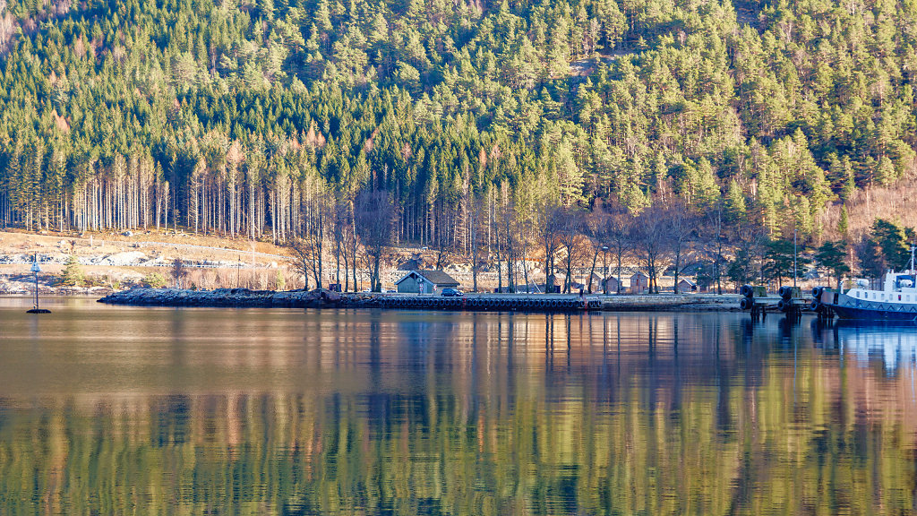 20250207-113725-LPA-1518-HDR.jpg