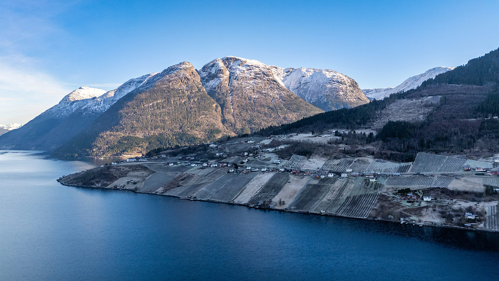 20250207-115125-DJI-20250207115125-0069-D-HDR.jpg