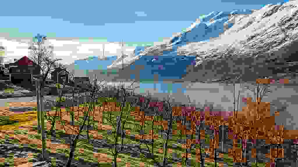 20250207-120613-LPA-1536-HDR.jpg