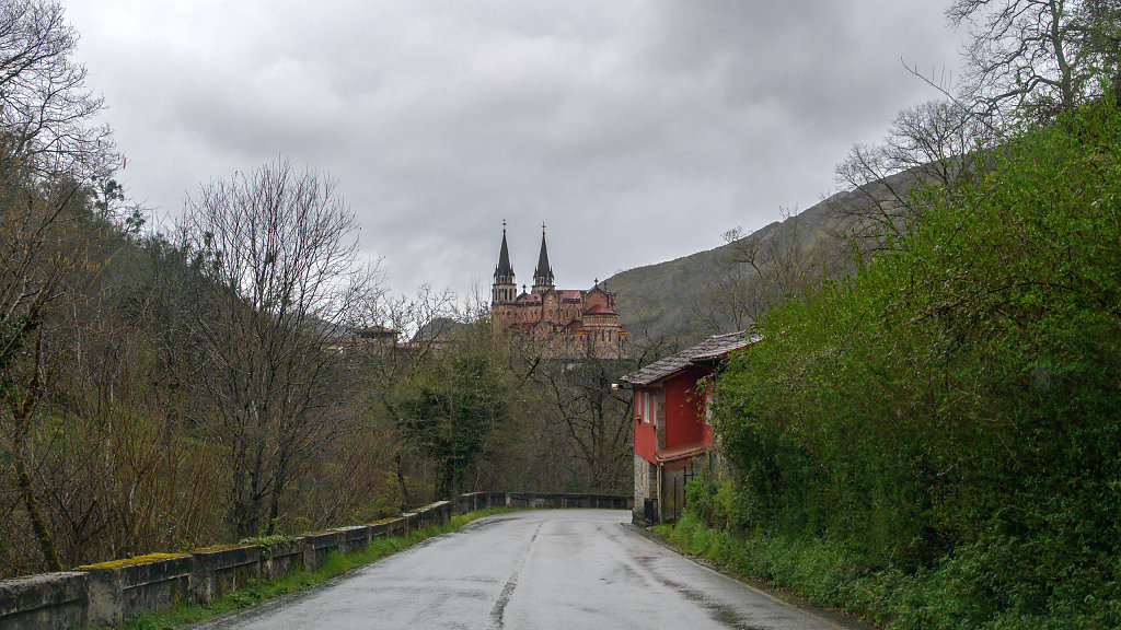 20250322-174108-DSC-2342.jpg