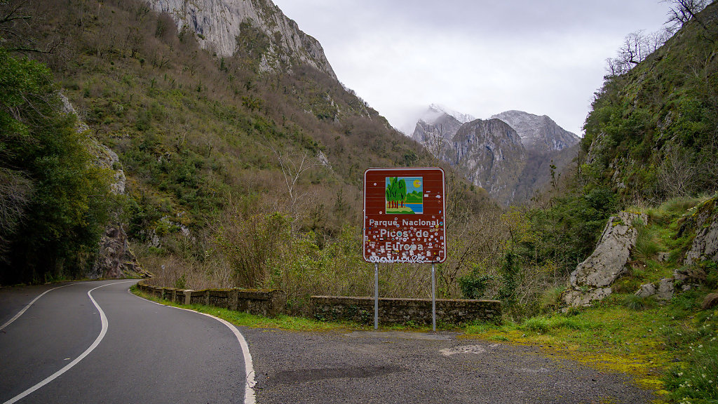 20250323-093458-DSC-2587.jpg
