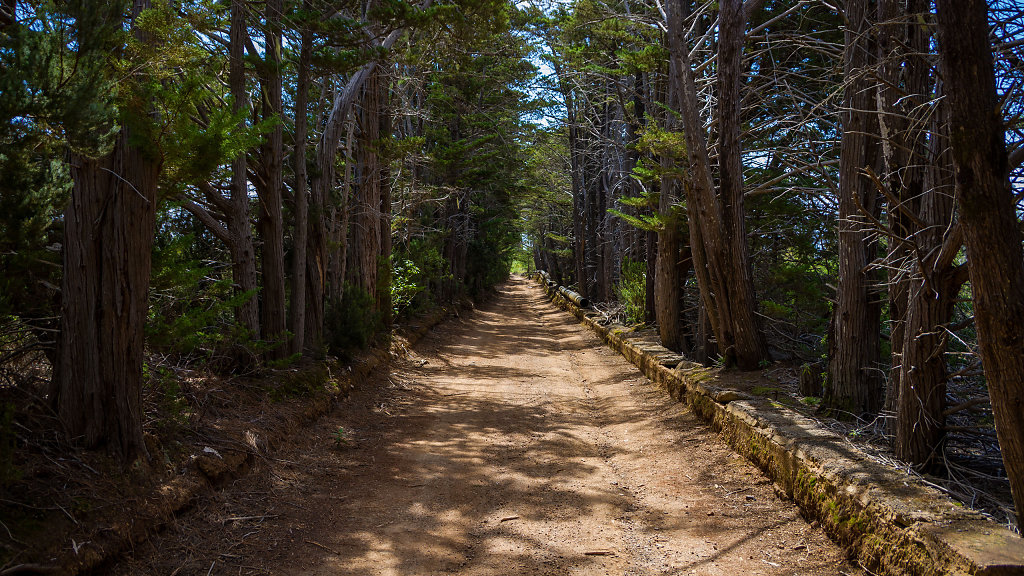 20250419113811-TFN-0274-HDR.jpg